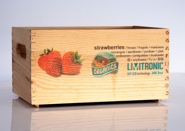 Packaged and Canned Foods
