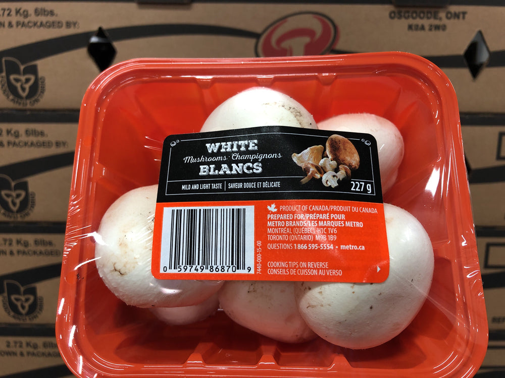 Packaged and Canned Foods